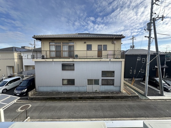 パインツリ―立戸