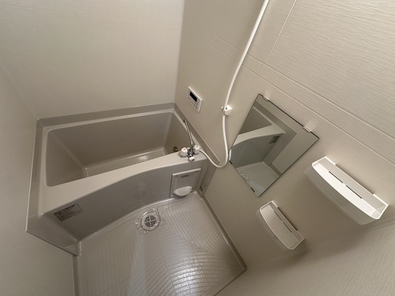 パインツリ―立戸