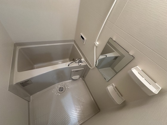 パインツリ―立戸