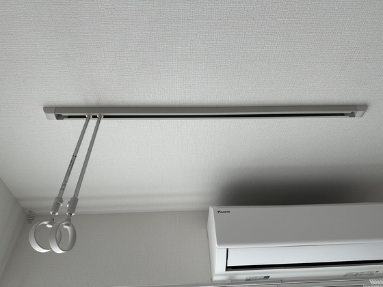 パインツリ―立戸