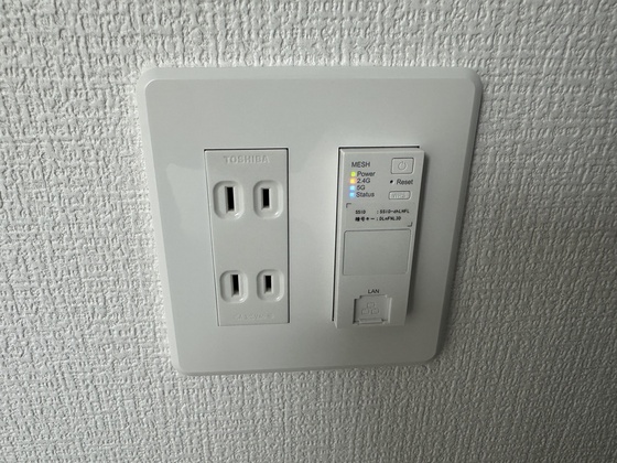 パインツリ―立戸