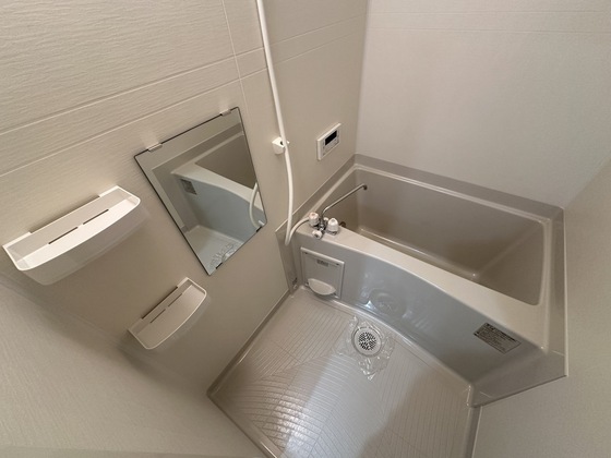 パインツリ―立戸