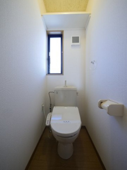 ドリームタウンⅡ ダンボ