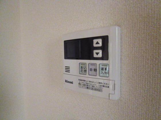 ニコフェリース