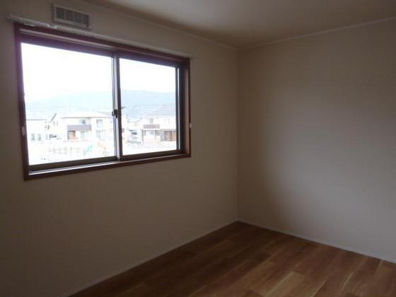 ニコフェリース