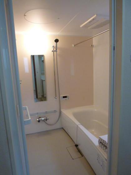 ニコフェリース