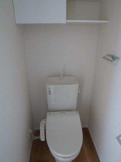 ニコフェリース