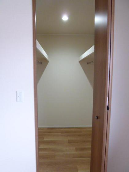 ニコフェリース