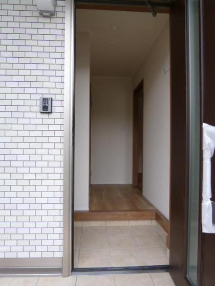 ニコフェリース