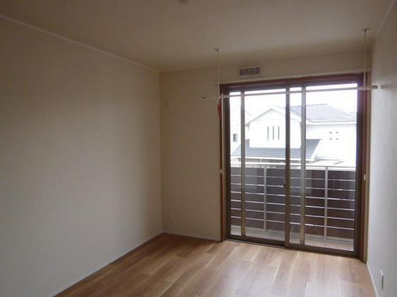 ニコフェリース