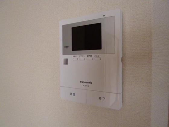 ニコフェリース